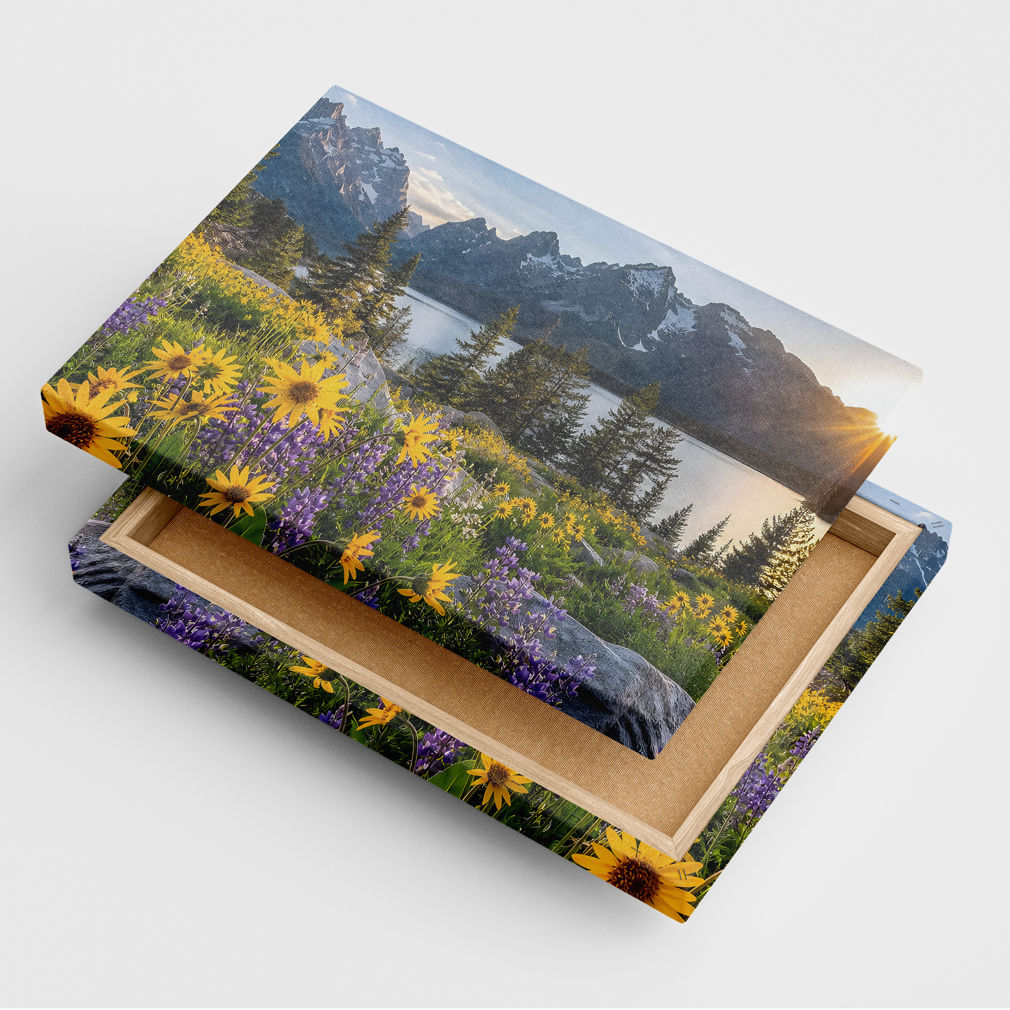 Photo Prints — Canvas